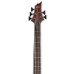 LTD D5 Natural Satin