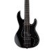 LTD AP5 black