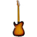 LTD TE254 Distressed 3Tone Burst