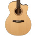PRS SE Alex Lifeson Signature
