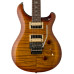 PRS SE Floyd Custom 24
