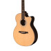 PRS SE A60E