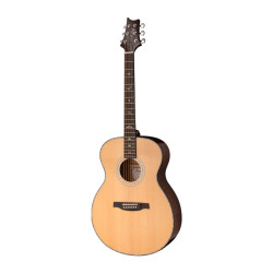 PRS SE T55E
