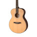PRS SE T55E