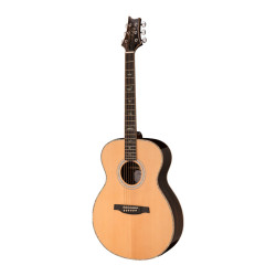 PRS SE T60E