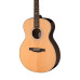 PRS SE T60E