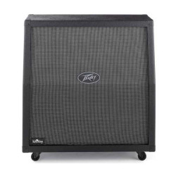 Peavey Valveking 412 Slant