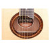 Yamaha APX700 II NT