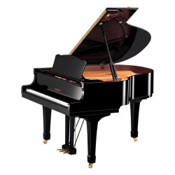 Yamaha C1 PE