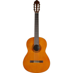 Yamaha C40