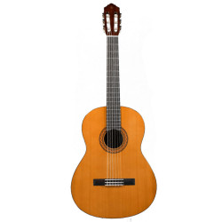 Yamaha C40 N