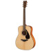 Yamaha FG800 NT