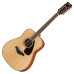 Yamaha FG820-12-NT