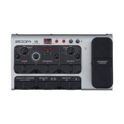 Zoom V6