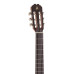 Admira Paloma S