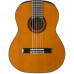 Aria Ak20