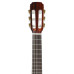 Aria Ak20