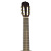 Aria Ak30 