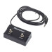 Blackstar FS 17 2 button Footswitch