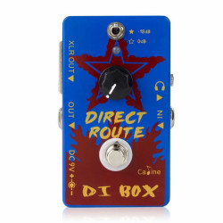 Caline CP 64 DI Box