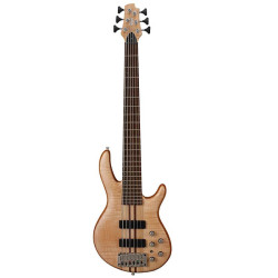 Cort A6