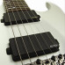 Cort Viva Custom