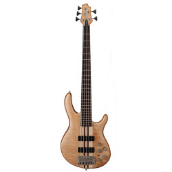 Cort A5