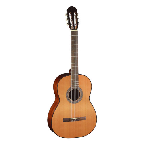 Cort AC100 SG Cort AC100 SG