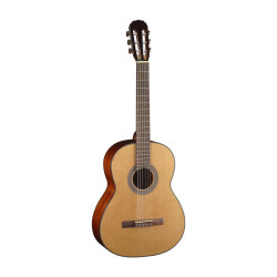Cort AC12