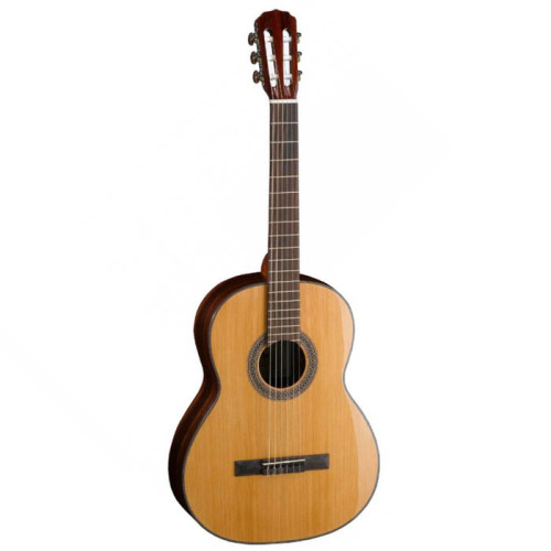 Cort AC250