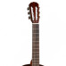 Cort AC250