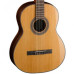 Cort AC250