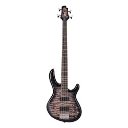 Cort Action DLX Plus FGB