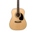 Cort AD880 NS