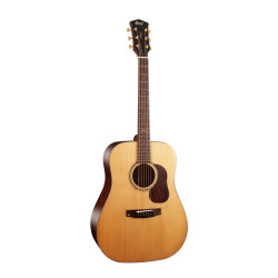 Cort Gold D6