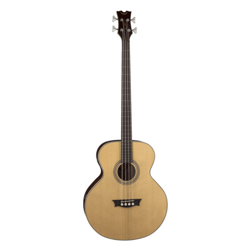 Dean Acoustic Bass Fretless GN