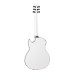 Dean Exhibition Acoustic Electric Resurrection