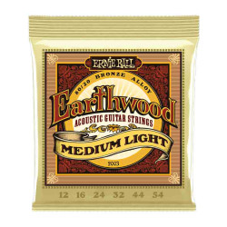 Ernie Ball Earthwood 12-54