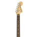 Fender American Performer Strat Honey Burst Fender American Performer Strat Honey Burst
