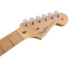 Fender American Pro Strat MN SNG