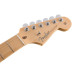 Fender American Pro Strat M SB