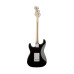Fender Eric Clapton Strat Blackie Fender Eric Clapton Strat Blackie