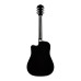 Fender FA 125CE Dreadnought BLK WN