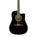 Fender FA 125CE Dreadnought BLK WN
