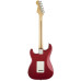 Fender Squier Standard Strat CAR