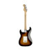 Fender Standard Stratocaster Pau Ferro BS