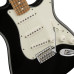 Fender Standard Stratocaster Pau Ferro BLK