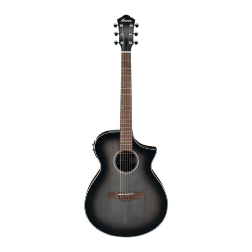 Ibanez AEWC11 TCB