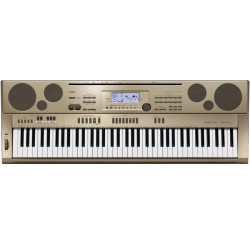 CASIO AT 5