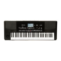KORG Pa300
